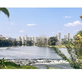 岁月轮回候鸟更迭