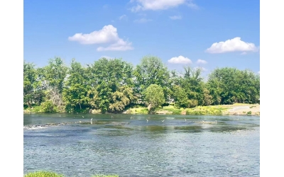 林间自有幽贞趣