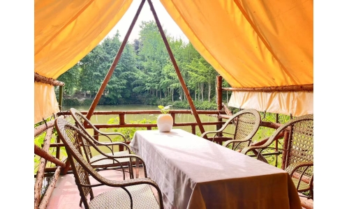 路过小院恰拾景